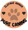 AMOUR PURE CANINS