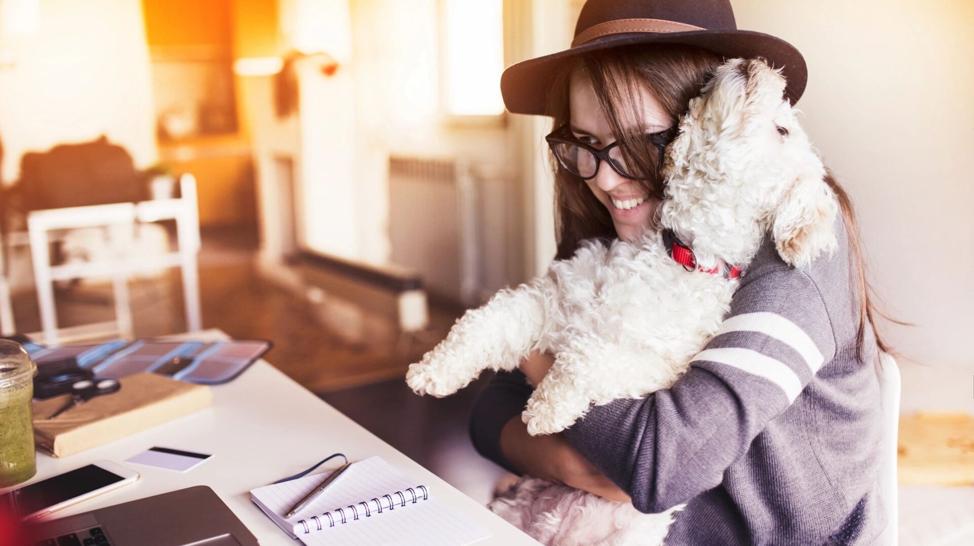 AMOUR PURE CANINS